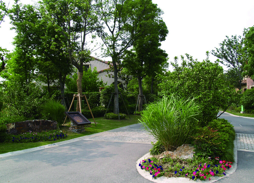 上海别墅绿化景观、别墅绿化设计、花园别墅设计