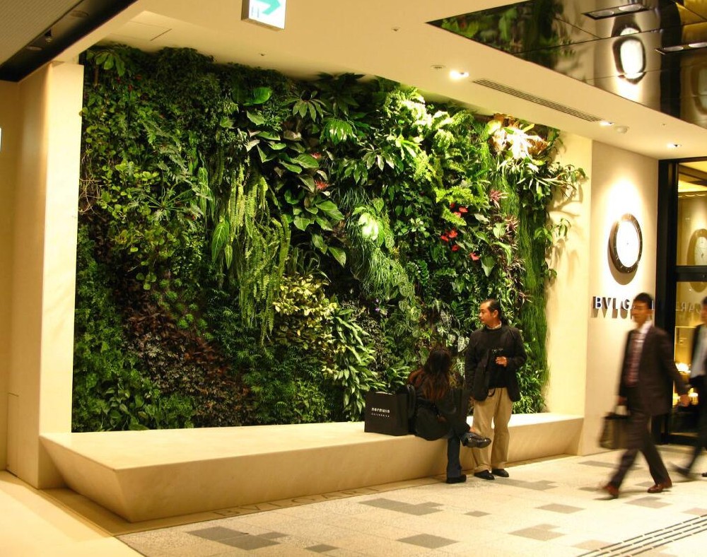 上海墙面绿化、上海墙面绿化公司